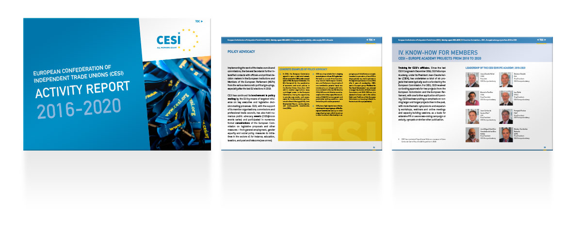 CESI Geschäftsbericht 2016-2020